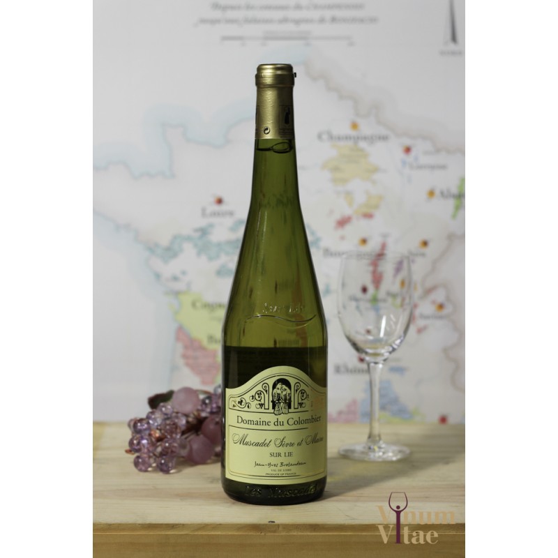 Colombier - Muscadet sur lie 2021